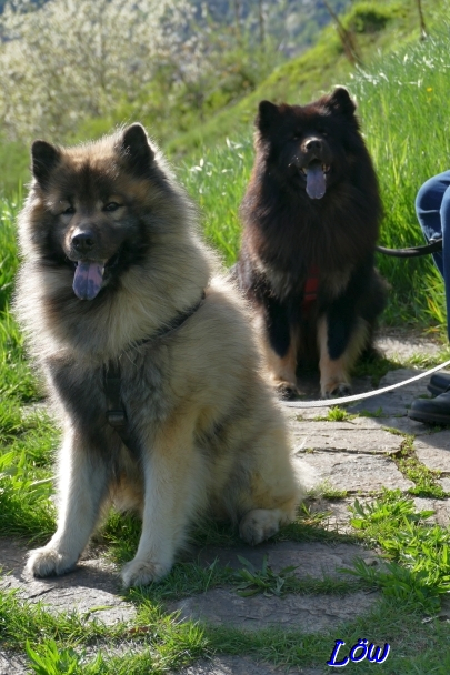 19.4.2025 - Rastpunkt